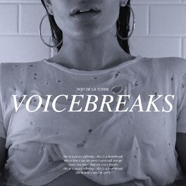 Album cover of Voicebreaks