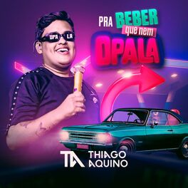 Album cover of Pra Beber que nem Opala