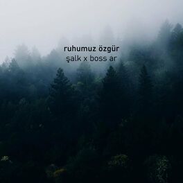 Album cover of ruhumuz özgür (feat. Boss AR)