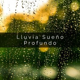 Album cover of Lluvia Sueño Profundo
