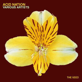 Album cover of Acid Nation