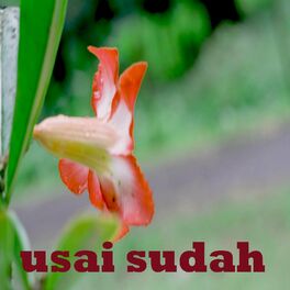 Album cover of Usai Sudah