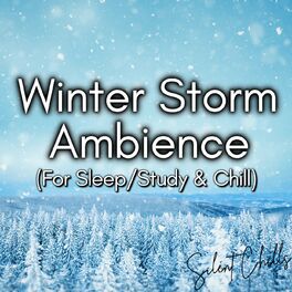 Album cover of Winter Storm Ambience