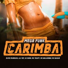 Album cover of Mega Funk Carimba