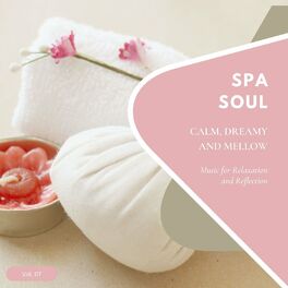 Album cover of Spa Soul - Calm, Dreamy And Mellow Music For Relaxation And Reflextion, Vol. 07