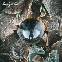 Album cover of Beauty Within