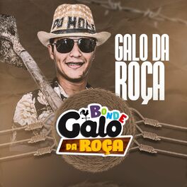 Album cover of Galo da Roça (Brega Funk)
