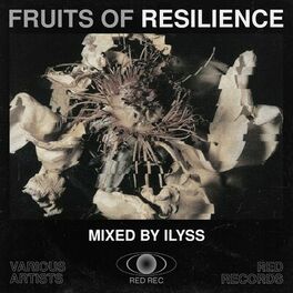 Album cover of Fruits of Resilience (Mixed By Ilyss)