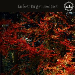 Album cover of Ein feste Burg ist unser Gott