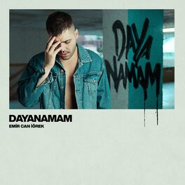 Album cover of Dayanamam