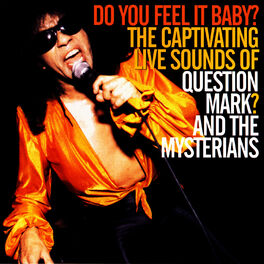 Album cover of Do You Feel It Baby?