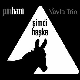 Album cover of Şimdi Başka