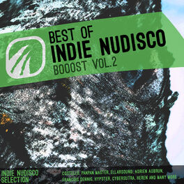 Album cover of Best of Indie NuDisco Booost Vol.2