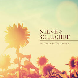 Album cover of Sunflower in the Sunlight