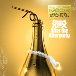 Album cover of After the Afterparty (feat. RAYE, Stefflon Don and Rita Ora) (VIP Mix)