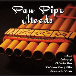 Album cover of Pan Pipe Moods