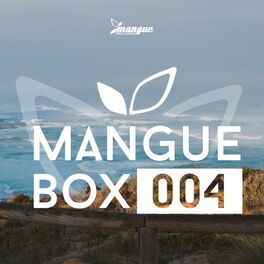 Album cover of Mangue Box 004