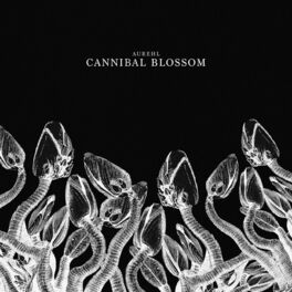 Album cover of Cannibal Blossom