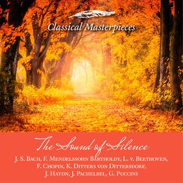 Album cover of The Sound of Silence -J. S. Bach,F. Mendelssohn Barholdy, L. v. Beethoven, f. Chopin, K. Ditters von Dittersdorf,J. Haydn, J. Pach (Classical Masterpieces)