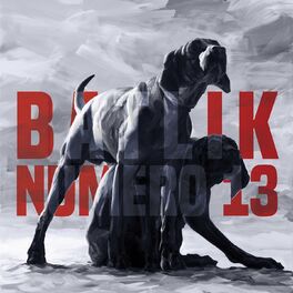 Album cover of Numéro 13
