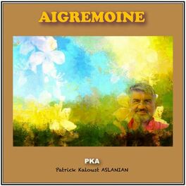 Album cover of Aigremoine