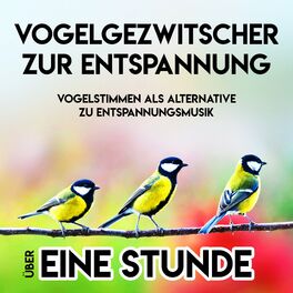 Album cover of Vogelgezwitscher zur Entspannung - Vogelstimmen als Alternative zu Entspannungsmusik - über eine Stunde