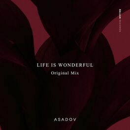 Album cover of Life Is Wonderful
