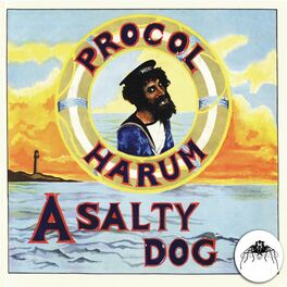 Album cover of A Salty Dog