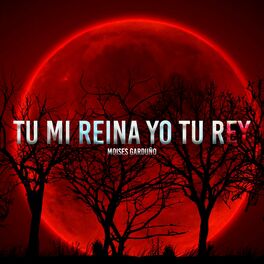 Album cover of Tu Mi Reina Yo Tu Rey