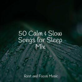 Album cover of 50 Calm & Slow Songs for Sleep Mix