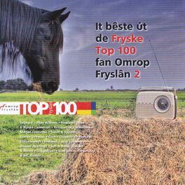 Album cover of It beste ut de Fryske top 100 fan Omrop Fryslan 2