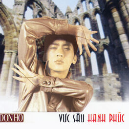 Album cover of Vực Sâu Hạnh Phúc