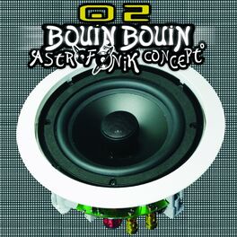 Album cover of Bouin Bouin 02