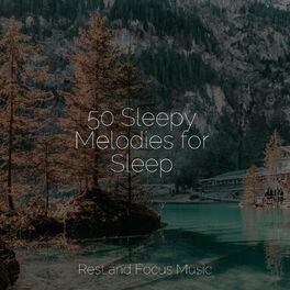 Album cover of 50 Sleepy Melodies for Sleep