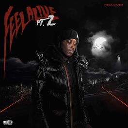 Album cover of Feel Alive 2