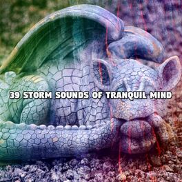 Album cover of 39 Storm Sounds Of Tranquil Mind