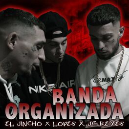 Album cover of Banda Organizada