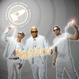 Album cover of Organico
