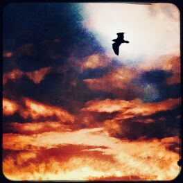 Album cover of Airwaves
