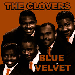 Album cover of Blue Velvet