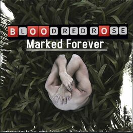 Album cover of Marked Forever