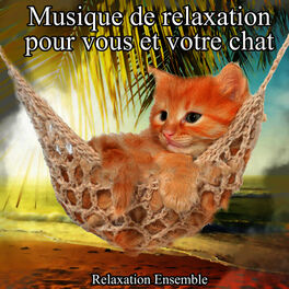 Album cover of Musique de relaxation pour vous et votre chat