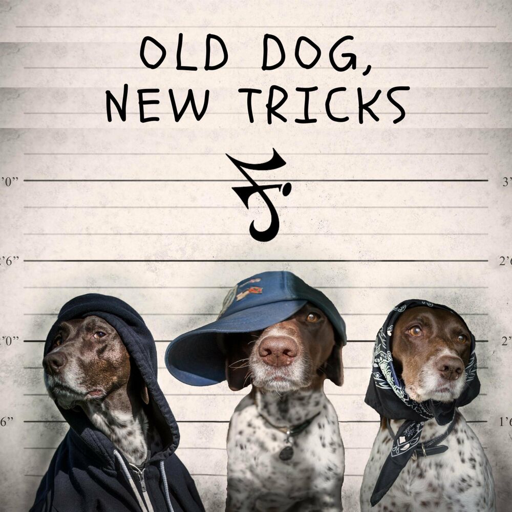 Old dog new tricks