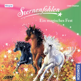 Album cover of Teil 11: Ein magisches Fest (Ungekürzt)