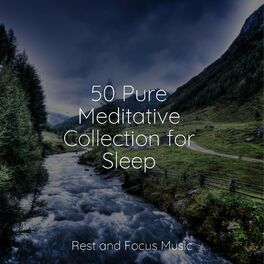 Album cover of 50 Pure Meditative Collection for Sleep