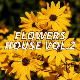 Album cover of Flowers House Vol.2