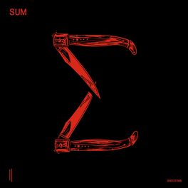 Album cover of Sum 9