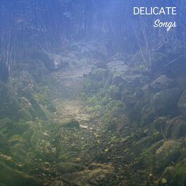 Album cover of #19 Delicate Songs to Guide Yoga & find Calm