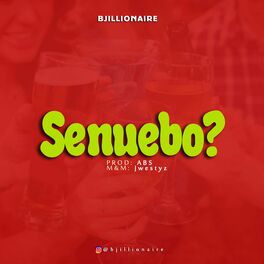Album cover of Senuebo