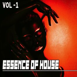 Album cover of Essence of House, 1 - House & Deep House Collected (Album)